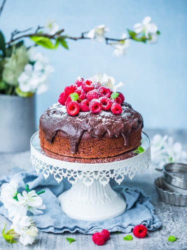 eggless chocolate and coconut cake